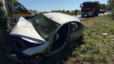 Copertina di Udine, auto guidata dal padre esce di strada e si schianta contro un platano: muore la figlia maggiore di 11 anni. Gravissima la sorellina