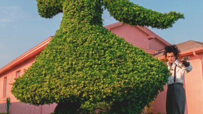 Copertina di Tra siepi, fragole e lillà il giardino fiorisce sul set