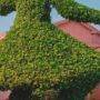 Copertina di Perché il giardino si addice al cinema