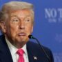 Copertina di Un anello di diamanti per Trump e il sospetto di aiuti  al Belgio sui dazi