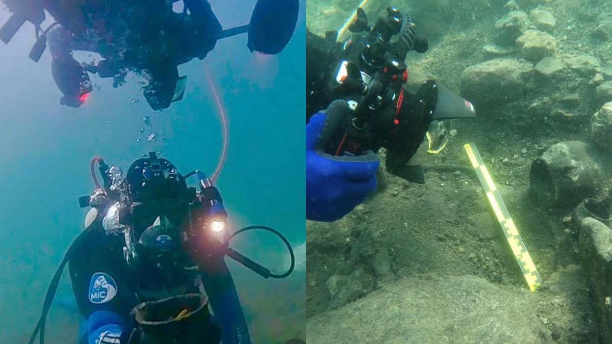 spighe di farro vasi e misteriose strutture di legno riemerse dal lago di bolsena dopo 3mila anni la scoperta degli archeologi da Ilfattoquotidiano.it spighe di farro vasi e misteriose strutture di legno riemerse dal lago di bolsena dopo 3mila anni la scoperta degli archeologi