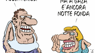 Copertina di La vignetta di Franzaroli