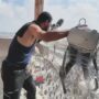Copertina di Reporter uccisi, ex Idf: “Sapevo che non erano legati a Hamas”