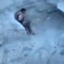 Copertina di Si arrampica sulla scogliera per tuffarsi in mare ma non riesce più a scendere: intervengono i Vigili del fuoco e lo salvano con l’elicottero