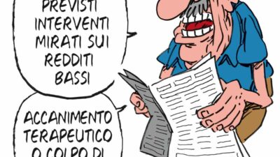 Copertina di La vignetta di Franzaroli