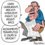 Copertina di La vignetta di Franzaroli