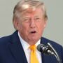 Copertina di La Corte Suprema dà ragione a Trump sul voto per posta: schiaffo ai Dem a tre mesi dalle elezioni di midterm