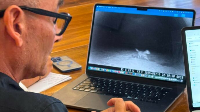 Tre animali individuati dalle fototrappole dopo le aggressioni ai tre bimbi, attesa Dna per stabilire se sono lupi