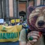 Copertina di Ddl Caccia, il 29 e il 30 mobilitazione nazionale