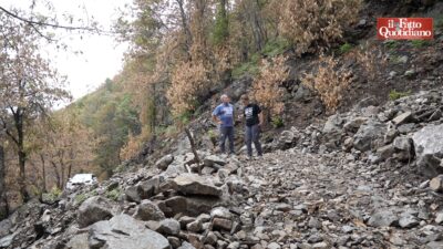 Copertina di Cosa resta dopo gli incendi? Terreni più impermeabili, detriti e rischio di frane. Viaggio nel parco nazionale della Val Grande colpito dai roghi: “Ora i boschi vanno gestiti diversamente, servono più risorse”
