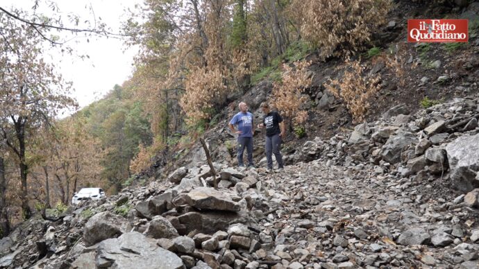 Copertina di Cosa resta dopo gli incendi? Terreni più impermeabili, detriti e rischio di frane. Viaggio nel parco nazionale della Val Grande colpito dai roghi: “Ora i boschi vanno gestiti diversamente, servono più risorse”