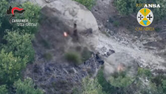Copertina di Appicca il fuoco a Filandari, ma un drone della Regione lo riprende in diretta: arrestato in flagrante | Video