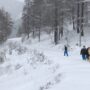 Copertina di Il rifugio dei migranti sulla rotta alpina chiude per mancanza di fondi. In arrivo tende e container. Le associazioni: “Non si può lasciare al freddo nessuno. Serve l’aiuto di tutti”