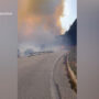 Copertina di Incendio in Ogliastra, almeno 130 persone evacuate ad Arzana ed Elini – Video