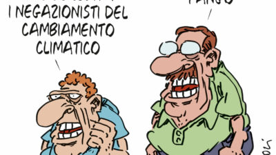 Copertina di La vignetta di Franzaroli