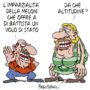 Copertina di La vignetta di Franzaroli