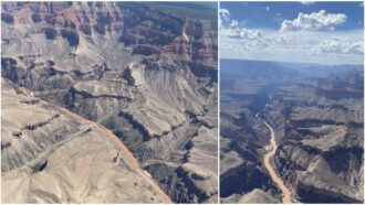 Copertina di Usa, inondazione improvvisa nel Grand Canyon: almeno un morto e 15 dispersi. Decine di persone evacuate