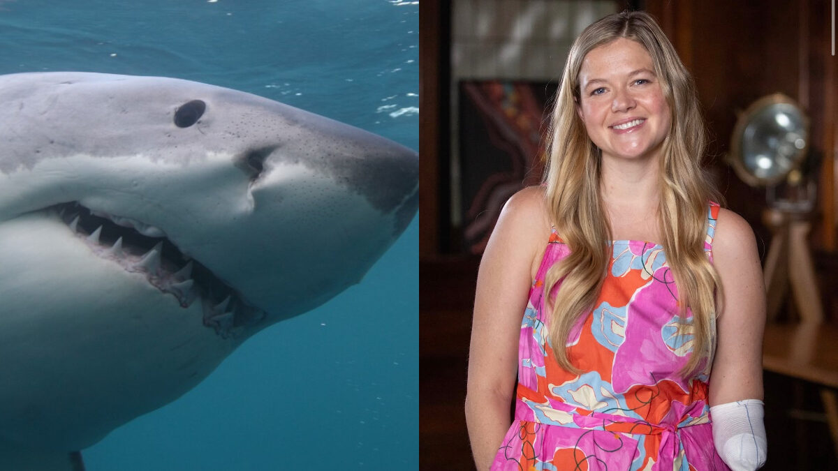 “Mi ha morso uno squalo, è stato come lottare con un dinosauro. Mi sono detta: devo colpirlo o mi staccherà la testa. Ho scelto un gancio sinistro, ora ho il braccio amputato”: la storia di Leah Stewart