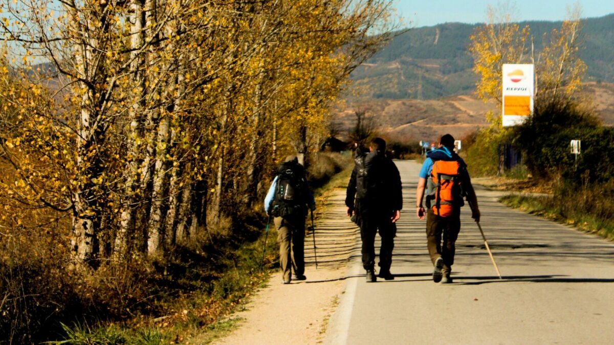 cibo scaduto e strutture ricettive irregolari sanzioni e sequestri lungo diversi cammini sull8217appennino da Ilfattoquotidiano.it cibo scaduto e strutture ricettive irregolari sanzioni e sequestri lungo diversi cammini sull8217appennino