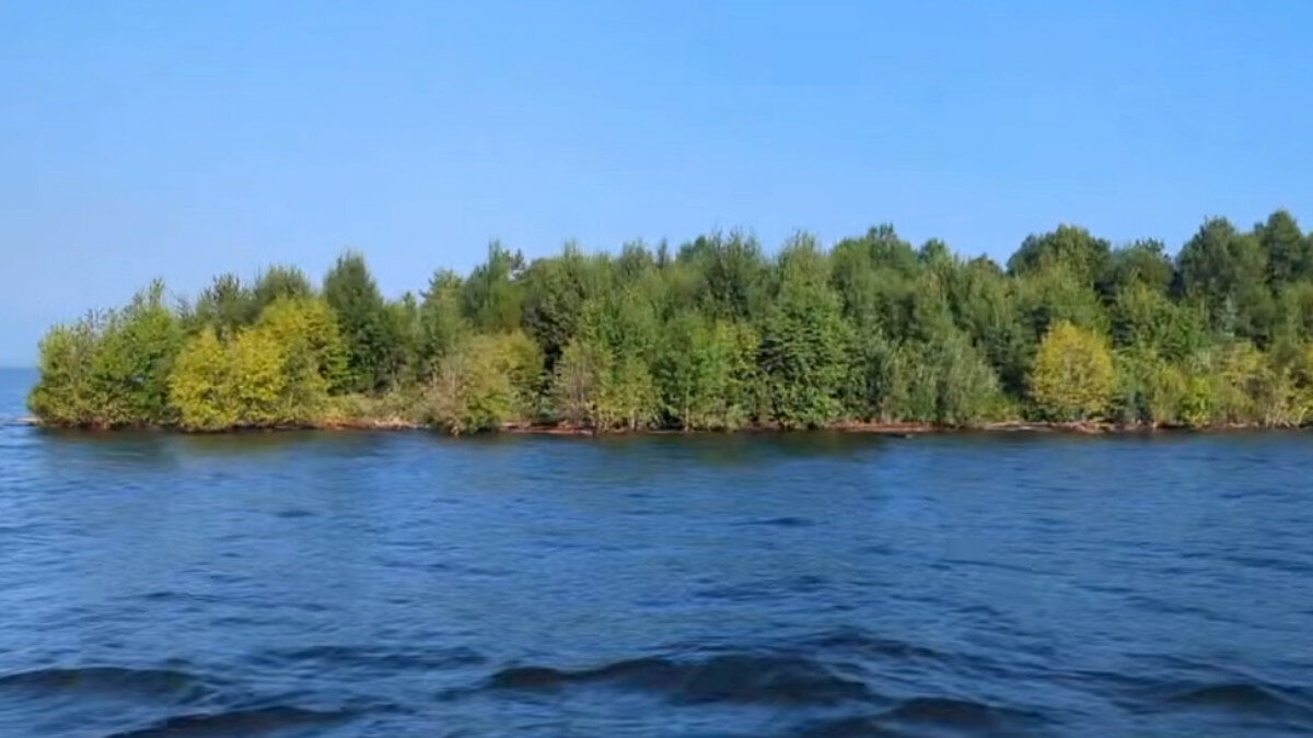 Un’isola coperta di alberi appare, scompare e poi ricompare 30 chilometri più in là: “Non avevo mai visto nulla di simile”