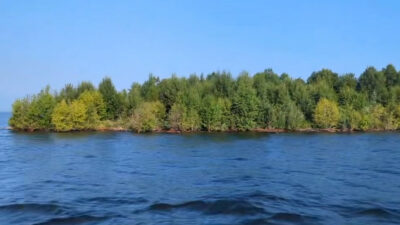 Copertina di Un’isola coperta di alberi appare, scompare e poi ricompare 30 chilometri più in là: “Non avevo mai visto nulla di simile”