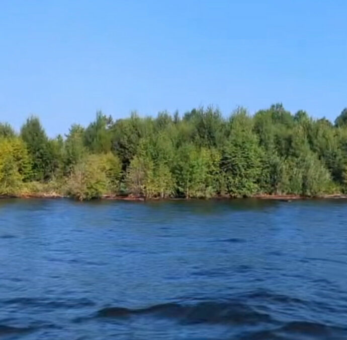 Un’isola coperta di alberi appare, scompare e poi ricompare 30 chilometri più in là: “Non avevo mai visto nulla di simile”