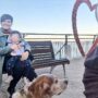 Copertina di La solitudine, la fatica e la speranza di una cura impossibile. Così la famiglia di Pietralata è andata a fondo. Indagini su messaggi, contatti e telefonate
