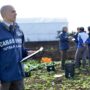 Copertina di Braccianti schiavi nei campi della Calabria: paghe da 3 euro l’ora e minacce, 20 fermi dei carabinieri