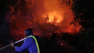 Copertina di Incendi in Indonesia, scuole chiuse in Malesia: non solo El Niño, dietro c’è anche il disboscamento per cellulosa e olio di palma