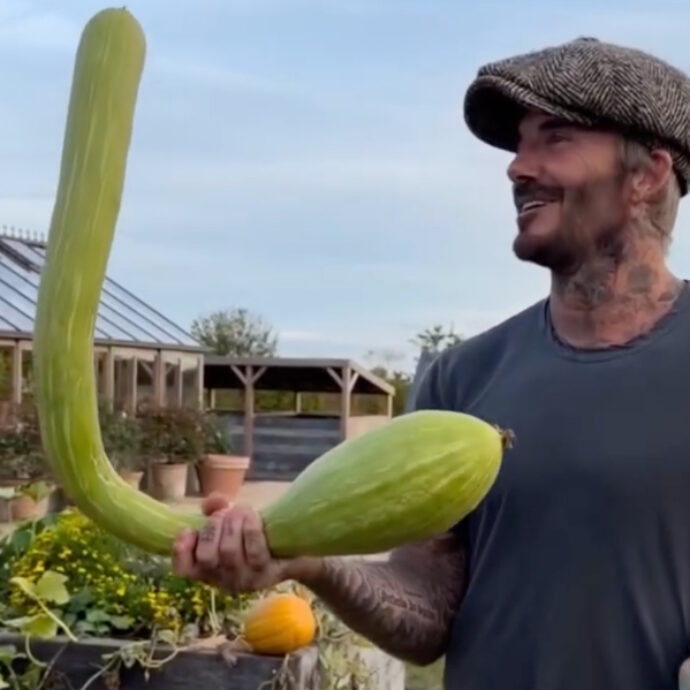 David Beckham appare in campagna con una enorme zucca in mano. La moglie Victoria maliziosa lo prende in giro: “Non ne ho mai vista una di quella forma, è una nuova verdura?”