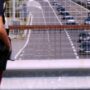 Copertina di I cadaveri di un uomo e una donna trovati vicino al viadotto Alteta dell’A1. Ipotesi omicidio suicidio