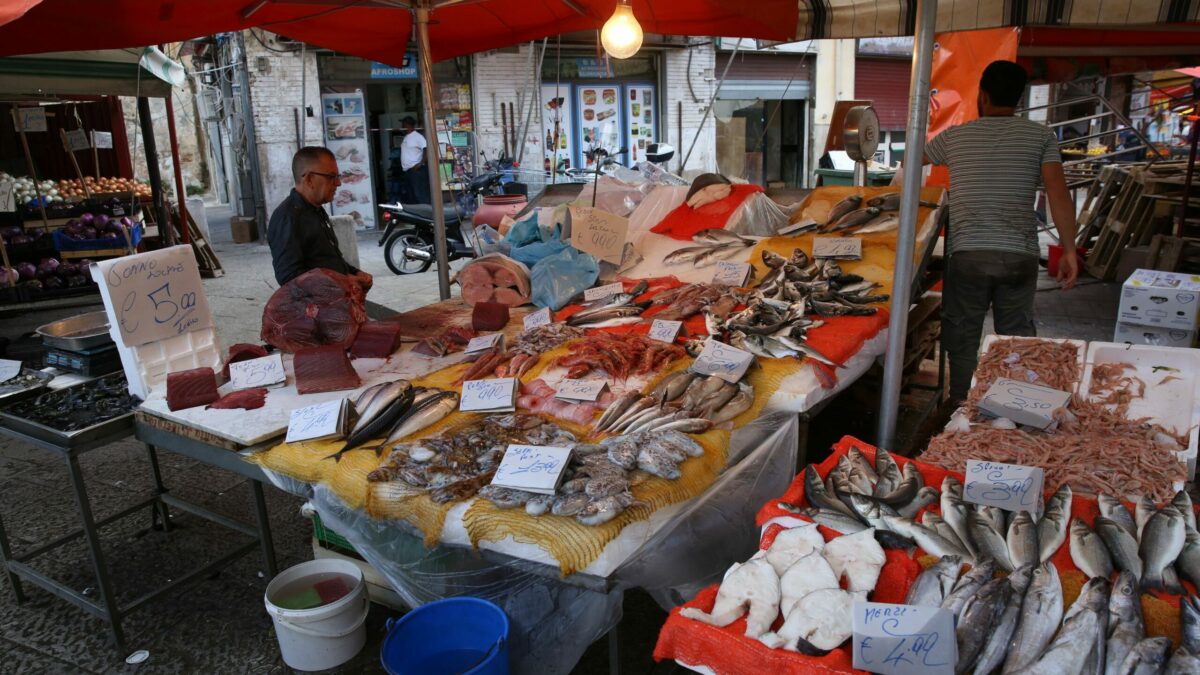 nuovo mercato coperto di ballar242 il comune di palermo sospende il bando i commercianti sul piede di guerra non lascio il mio posto da Ilfattoquotidiano.it nuovo mercato coperto di ballar242 il comune di palermo sospende il bando i commercianti sul piede di guerra non lascio il mio posto