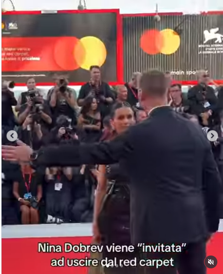 l8217attrice nina dobrev cacciata dal red carpet del festival di venezia la folla urla contro la security per farla restare lasciala stare 232 appena arrivata da Ilfattoquotidiano.it l8217attrice nina dobrev cacciata dal red carpet del festival di venezia la folla urla contro la security per farla restare lasciala stare 232 appena arrivata