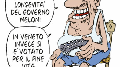 Copertina di La vignetta di Franzaroli