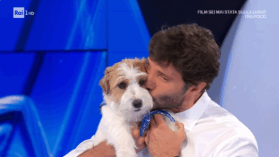 Copertina di “Gennarino ha lasciato il posto, i cani in tv sono come i notai. Ora ci sarà Tommasino ed è praticamente il nipote”: Stefano De Martino annuncia tutte le novità della nuova edizione di Affari Tuoi