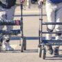 Copertina di I movimenti in piedi e i passi di quattro pazienti con lesione midollare: così il tronco è diventato un “telecomando”. Lo studio italiano