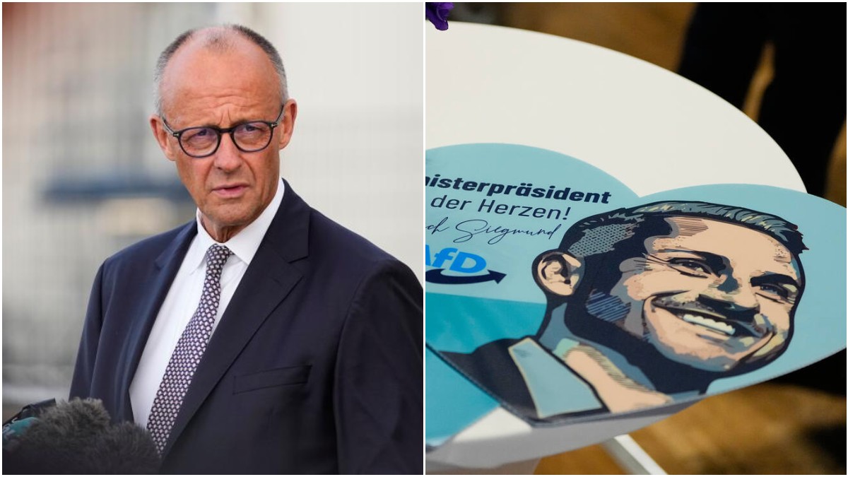 il drone 232 russo e l8217afd stravince ecco i frutti della demenziale ossessione anti mosca di merz da Ilfattoquotidiano.it il drone 232 russo e l8217afd stravince ecco i frutti della demenziale ossessione anti mosca di merz