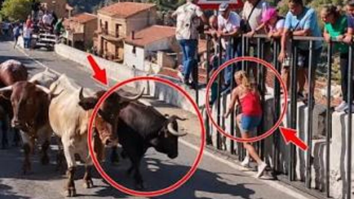 “È stata raggiunta mentre cercava di scappare”: esita un attimo fuori dalle transenne e viene incornata da un toro, 64enne muore durante l’encierro