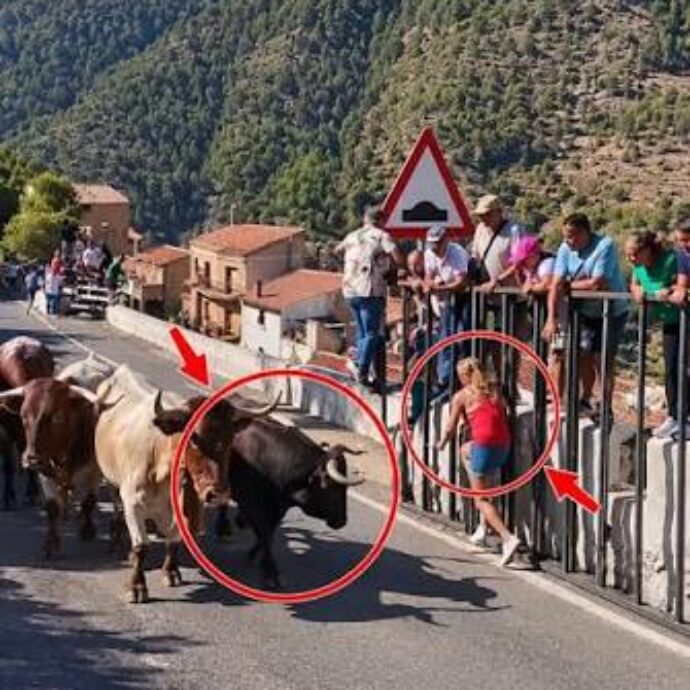 “È stata raggiunta mentre cercava di scappare”: esita un attimo fuori dalle transenne e viene incornata da un toro, 64enne muore durante l’encierro