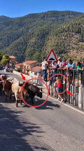 200 stata raggiunta mentre cercava di scappare esita un attimo fuori dalle transenne e viene incornata da un toro 64enne muore durante l8217encierro da Ilfattoquotidiano.it 200 stata raggiunta mentre cercava di scappare esita un attimo fuori dalle transenne e viene incornata da un toro 64enne muore durante l8217encierro