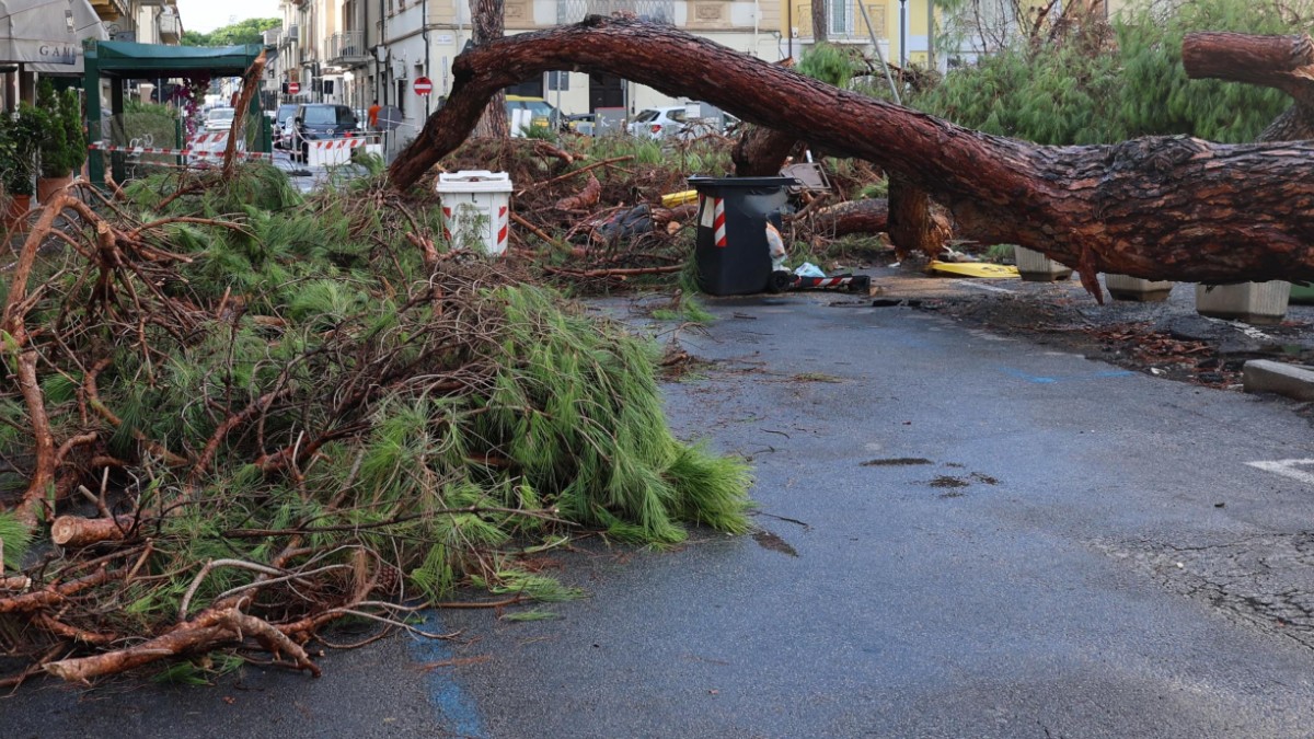 siena tromba d8217aria rompe una finestra una scheggia di vetro ferisce a morte un8217anziana da Ilfattoquotidiano.it siena tromba d8217aria rompe una finestra una scheggia di vetro ferisce a morte un8217anziana