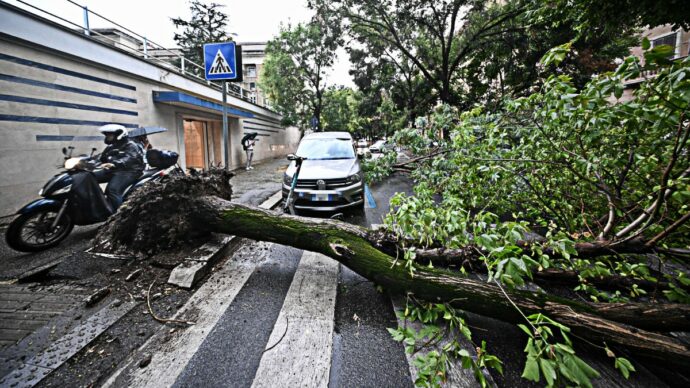 Temporali e raffiche di vento al centro-nord: alberi caduti e frane. Allagamenti in Toscana e Friuli Venezia-Giulia