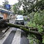 Copertina di Temporali e raffiche di vento al centro-nord: alberi caduti e frane. Allagamenti in Toscana e Friuli Venezia-Giulia