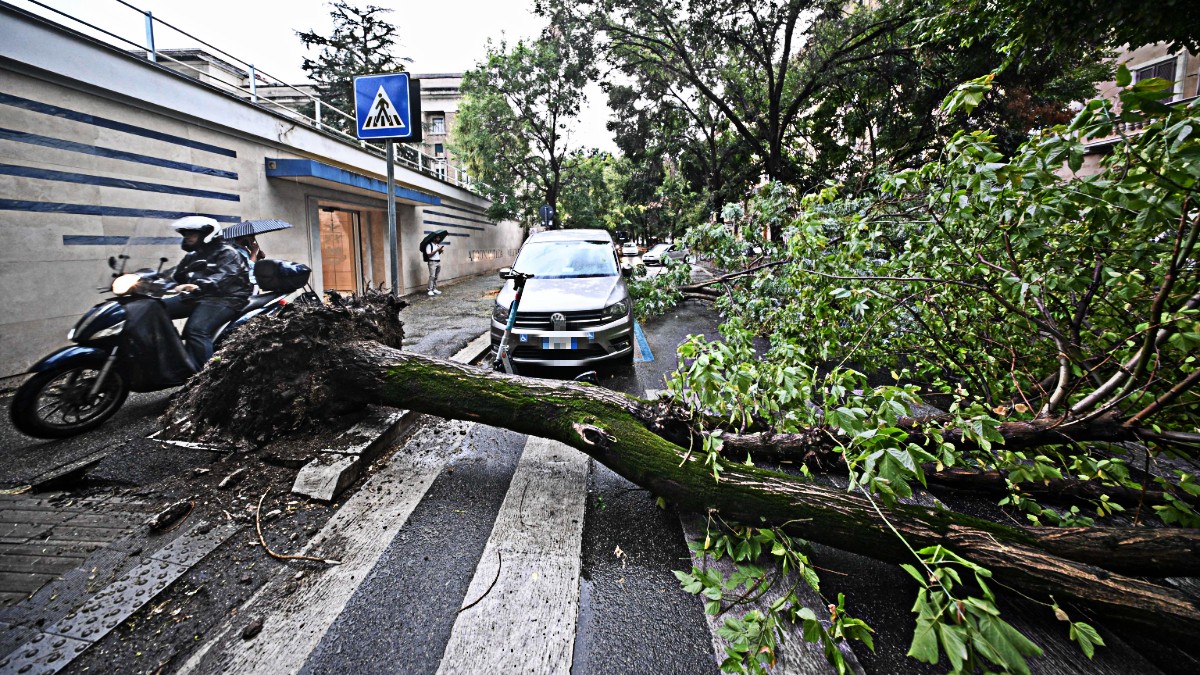 temporali e raffiche di vento al centro nord alberi caduti e frane allagamenti in toscana e friuli venezia giulia da Ilfattoquotidiano.it temporali e raffiche di vento al centro nord alberi caduti e frane allagamenti in toscana e friuli venezia giulia