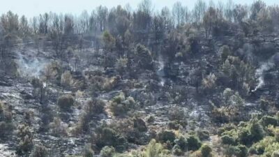 Copertina di Volontario della Protezione civile arrestato per otto incendi dolosi nel Gargano. I sindaci: “Chiarire il movente di un’azione così grave”