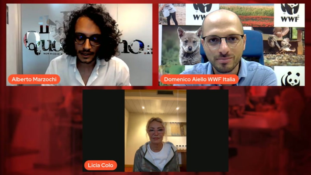 caccia perch233 il governo vuole fare strage di animali con licia col242 domenico aiello alberto marzocchi da Ilfattoquotidiano.it caccia perch233 il governo vuole fare strage di animali con licia col242 domenico aiello alberto marzocchi