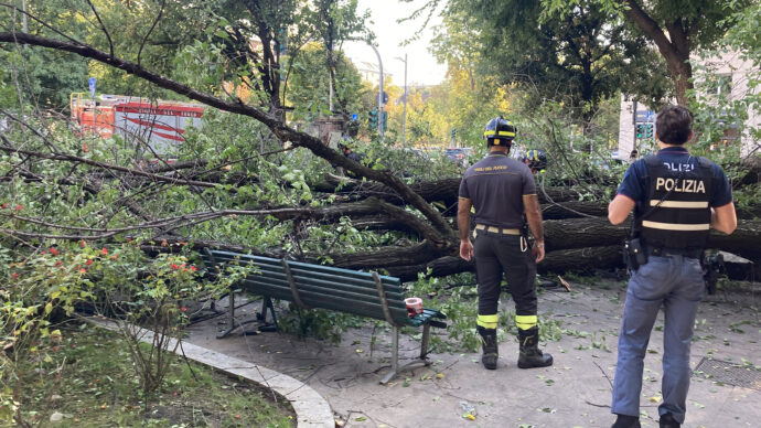 Cade un albero in Piazza Risorgimento a Milano, tre persone ferite. L’intervento dei vigili del fuoco