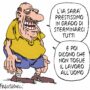 Copertina di La vignetta di Franzaroli