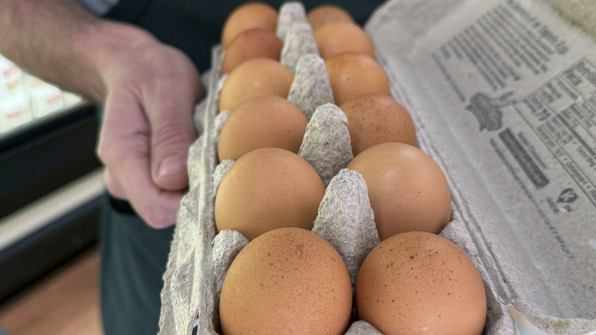 Uova ritirate dal commercio per rischio salmonella: “Si invitano gli utenti a non consumare il prodotto, riconsegnare al punto vendita”. Ecco quali sono i lotti e il marchio