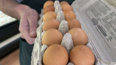 Copertina di Uova ritirate dal commercio per rischio salmonella: “Si invitano gli utenti a non consumare il prodotto, riconsegnare al punto vendita”. Ecco quali sono i lotti e il marchio